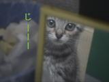 BlogPaint