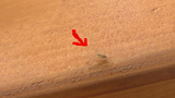 BlogPaint