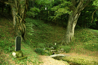 091014oowadasimizu