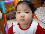 izu�Ǥ����ɤʤˤ���
