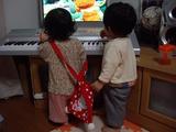 �ƥ�Ӥ�̴�档����