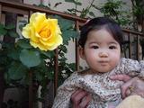 �֤��izu�Ǥ���