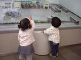 Ǯ�椷�Ƥޤ��͡�
