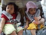 �⤦˹�Ҥ��֤äƤʤ�����