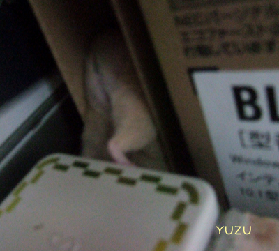 DSCF7330