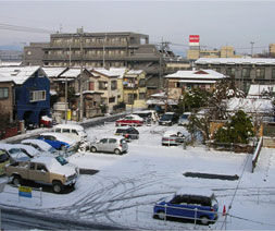 yuki