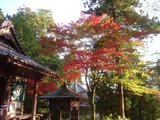 ���գ�