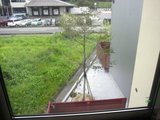 またウッドデッキをながめる