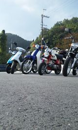 e62250e1.jpg