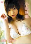 小泉麻耶