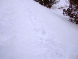 2008_1229_172207