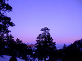 2008_1229_172516