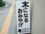 20060724木になるおみやげ