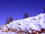2008_1229_143620