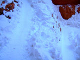 2008_1229_165502