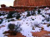 2008_1230_164156