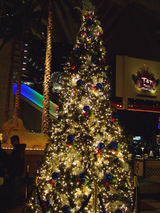 2008_1227_161552