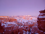 2008_1229_174530
