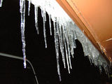 2008_1229_185130