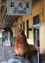 20060724小樽駅