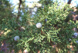 2007_0912_090753