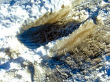 2008_1230_092932