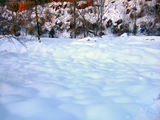 2008_1229_132044