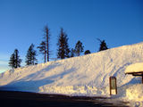 2008_1230_075955