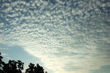 2007_0911_074153