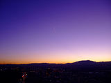 2008_1228_164801
