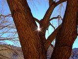 2008_1230_113818