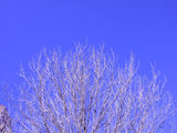 2008_1229_122102