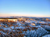 2008_1230_075009