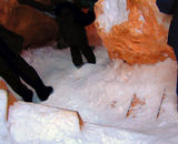2008_1229_170158
