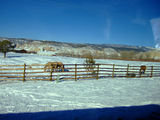 2008_1230_101155