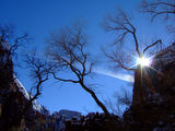2008_1229_131801