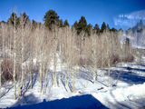2008_1230_102129