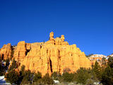 2008_1229_160717