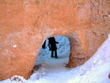 2008_1229_165354