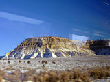 2008_1230_083028