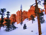 2008_1229_172104