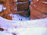 2008_1229_164937
