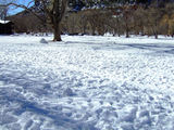 2008_1229_120812
