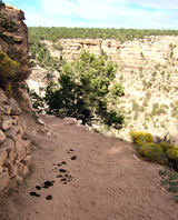 2007_0913_083023