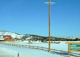 2008_1229_144640
