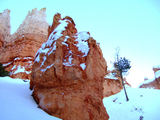2008_1229_171113