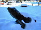 2008_1230_092558