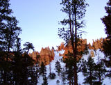 2008_1229_172621