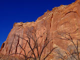 2008_1230_113408
