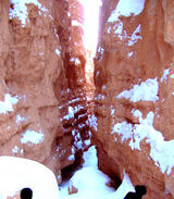 2008_1229_165840
